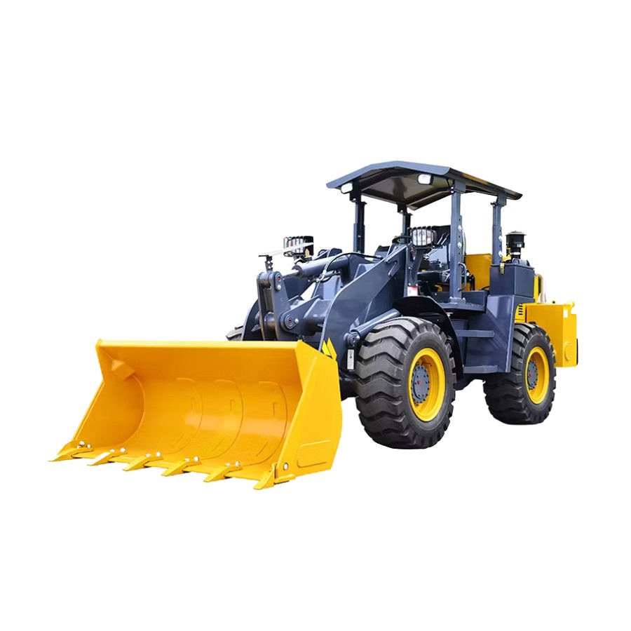 Máy Xúc Lật XCMG LW200KN